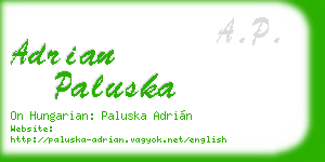 adrian paluska business card